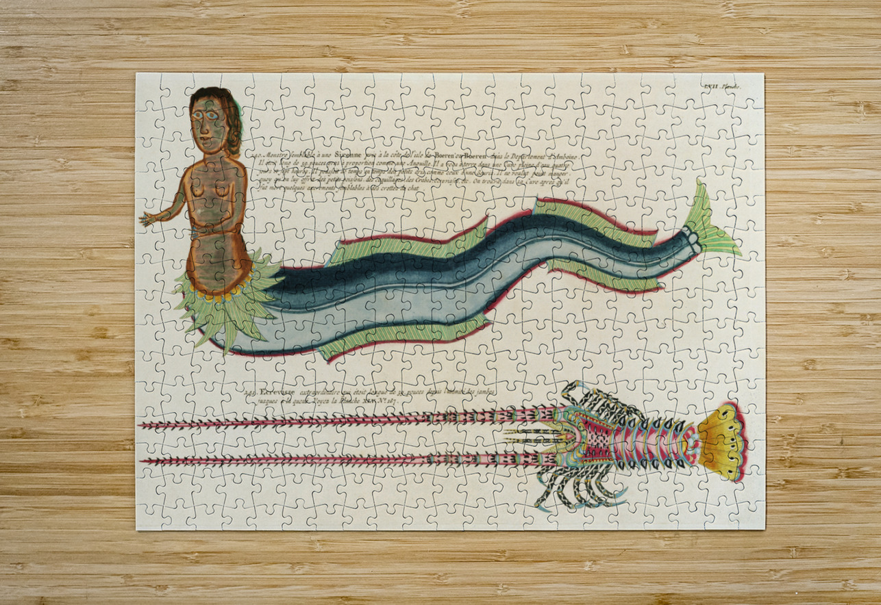 Illustrations of a siren and lobster found in the Moluccas Indonesia and the East Indies by Louis Renard 1678 -1746 from Histoire naturelle des plus rares curiositez de la mer des Indes 1754. IStockHistory com Puzzle printing