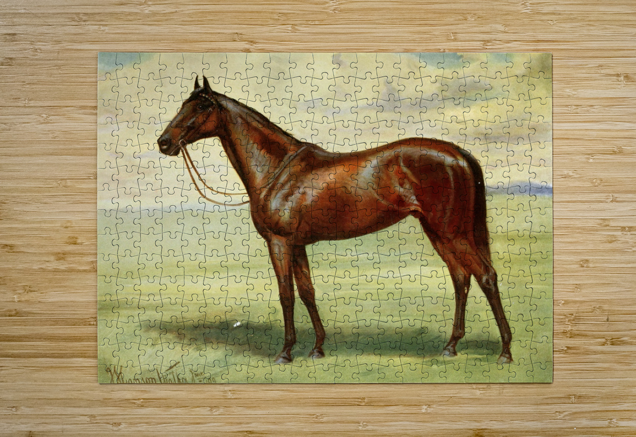 Minoru John Hanson Walker Jr. English 1844-1933 IStockHistory com Puzzle printing