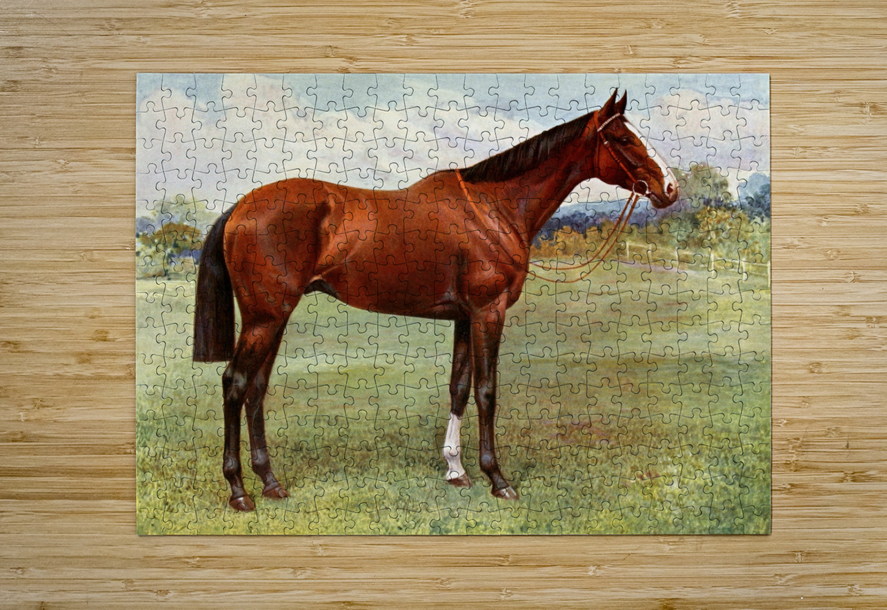 Spearmint IStockHistory com Puzzle printing