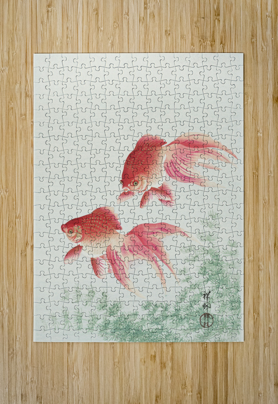 Two veil goldfish 1926 by Ohara Koson 1877-1945. IStockHistory com Puzzle printing