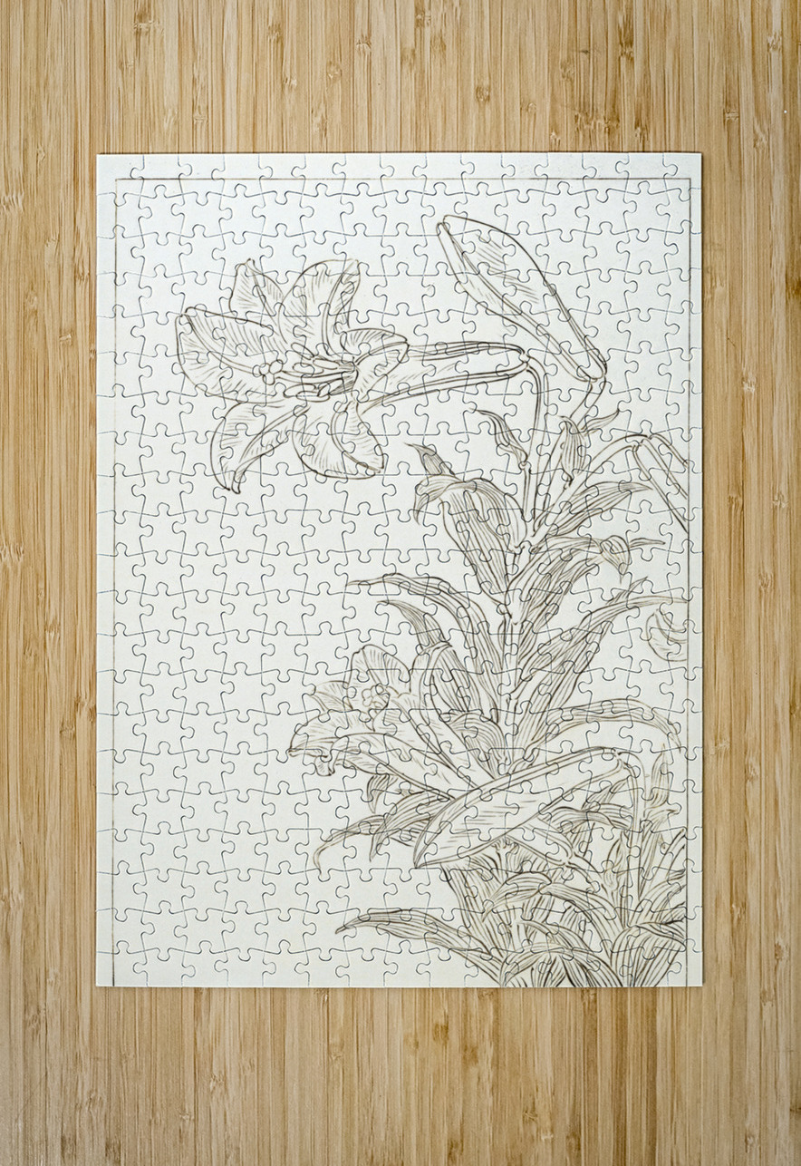 Rabbit at full moon 1900 - 1930 by Ohara Koson 1877-1945. IStockHistory com Puzzle printing