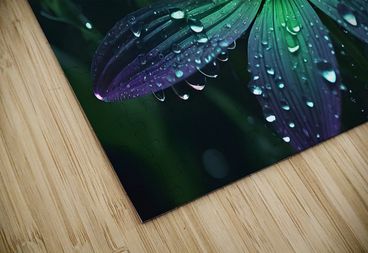 A glowing ultraviolet punk flower By ISHISH IStockHistory com Puzzle