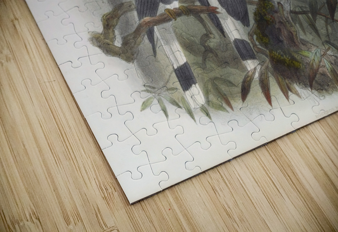 Buceros rhinoceros 1882 IStockHistory com Puzzle