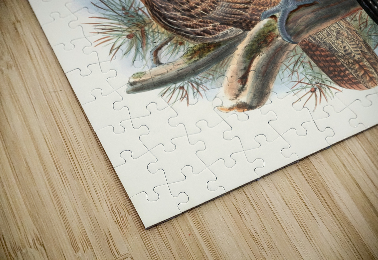 Lophophorus Lhuysii. 1872 IStockHistory com Puzzle