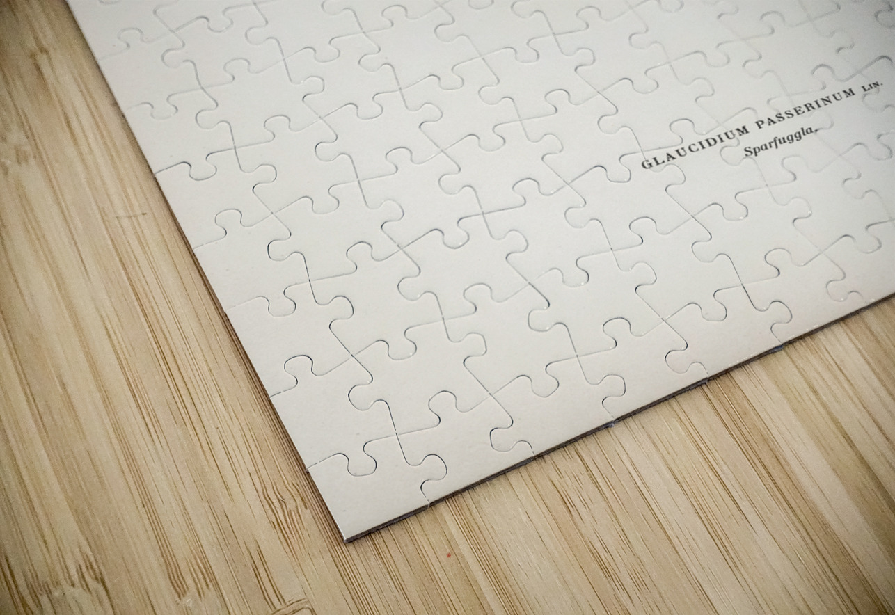 Glaucidium passerinum IStockHistory com Puzzle