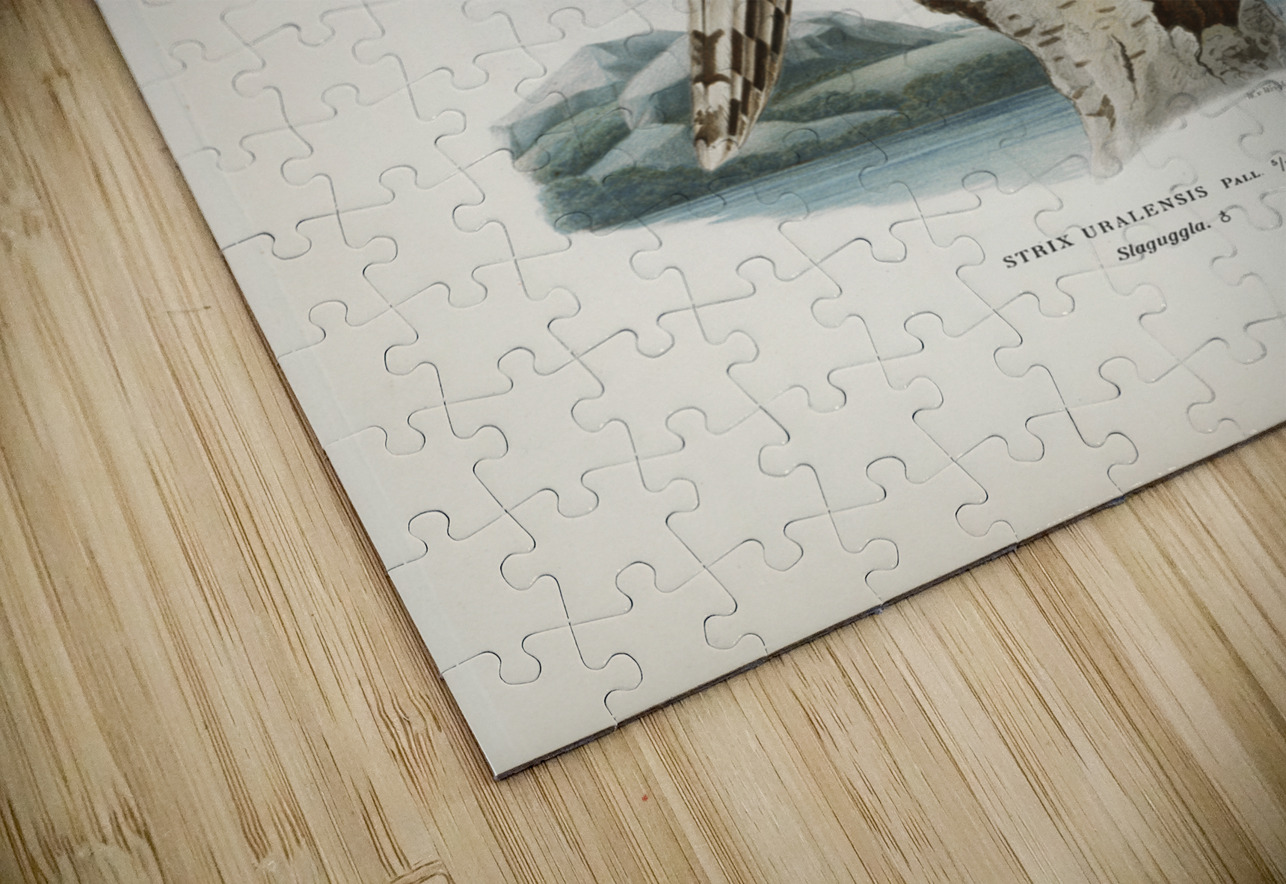 Strix uralensis ♀ IStockHistory com Puzzle