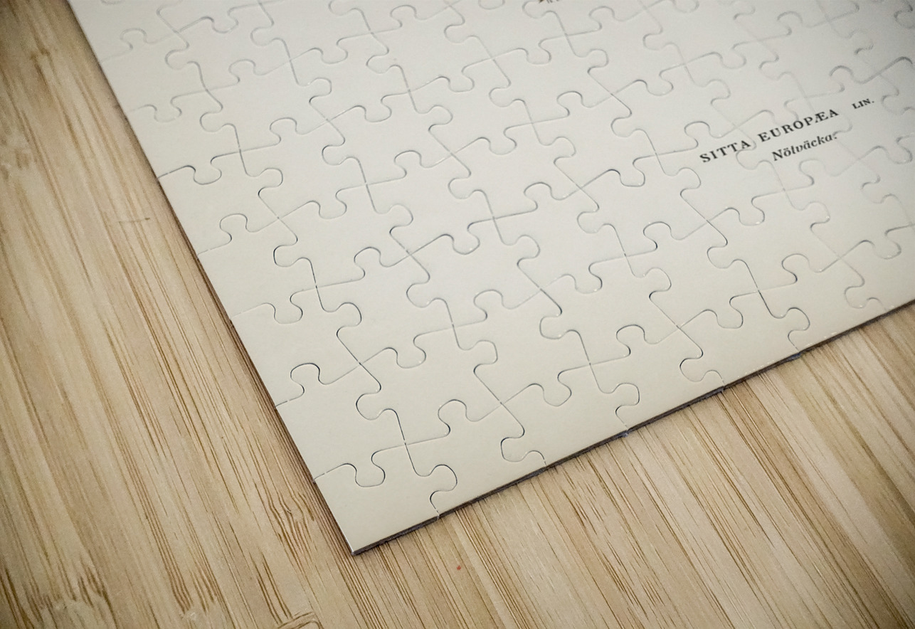 SITTA EUROPAEA LIN IStockHistory com Puzzle