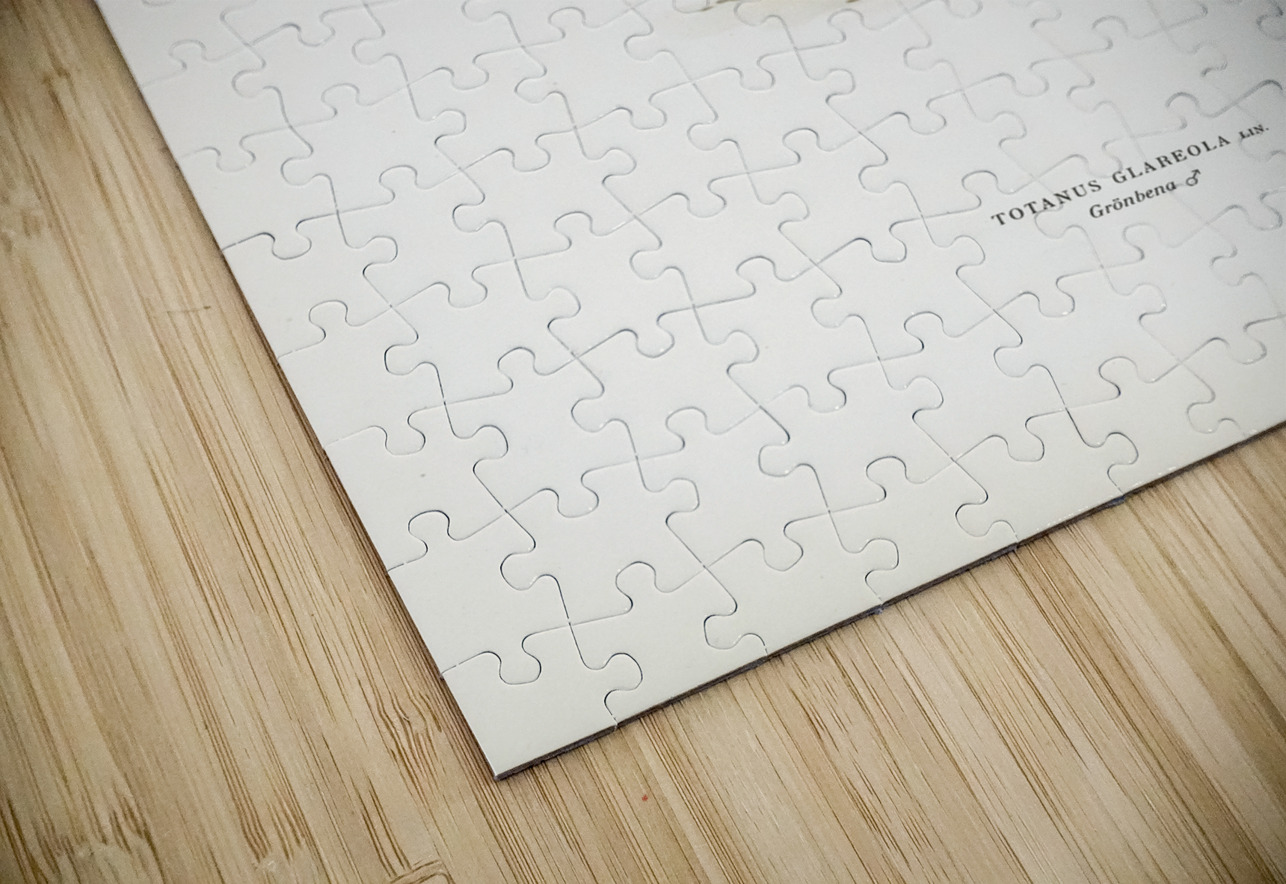 Wood Sandpiper Totanus Glareola IStockHistory com Puzzle