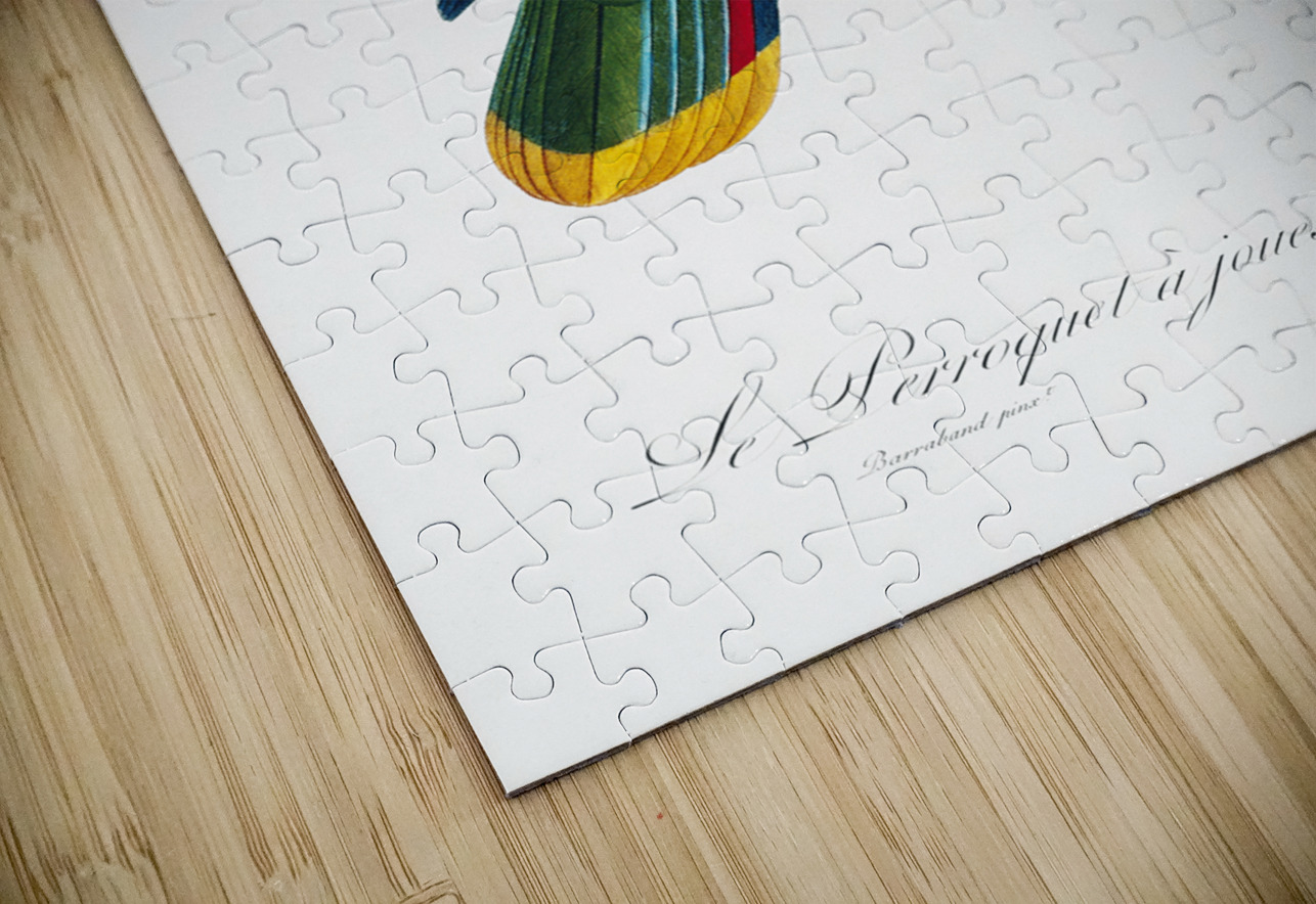 Red-and-blue amazon  IStockHistory com Puzzle