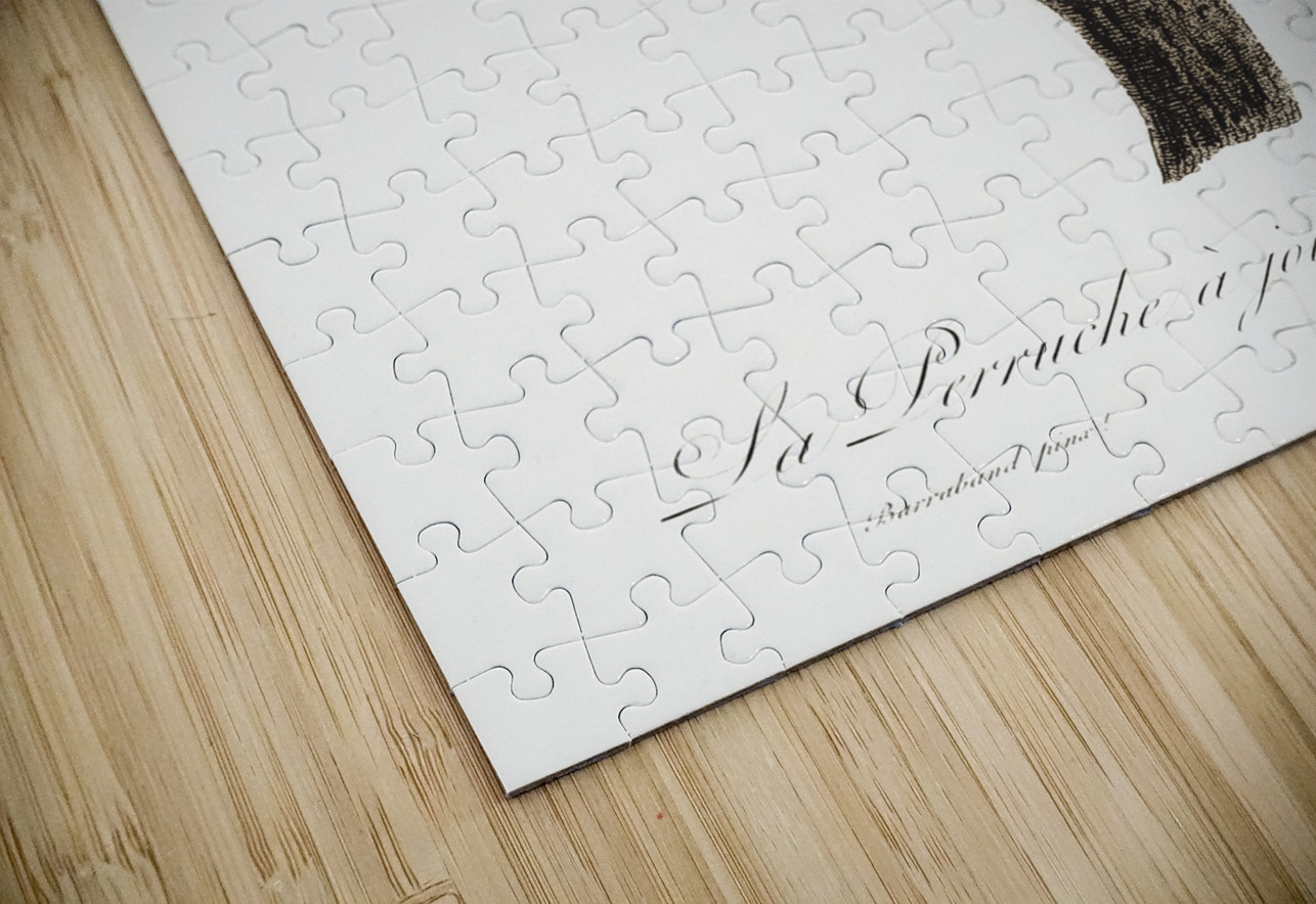 Grey-cheeked parakeet  IStockHistory com Puzzle