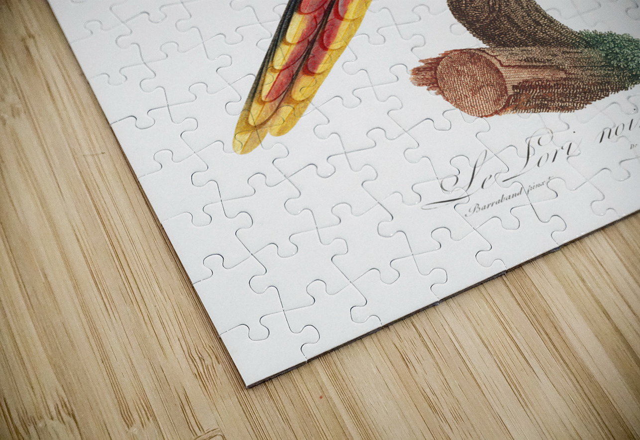 Black lory  IStockHistory com Puzzle