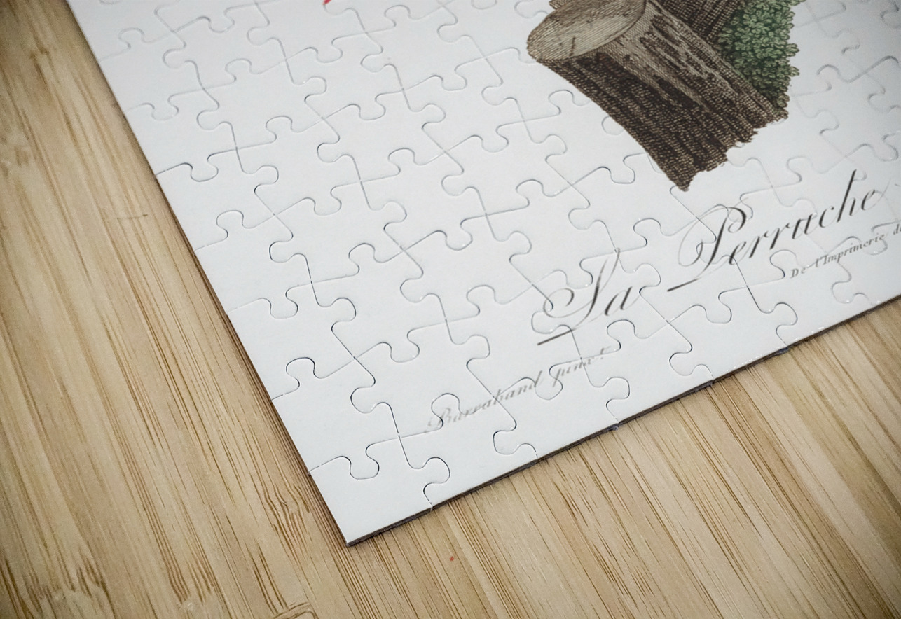 Swift parrot IStockHistory com Puzzle