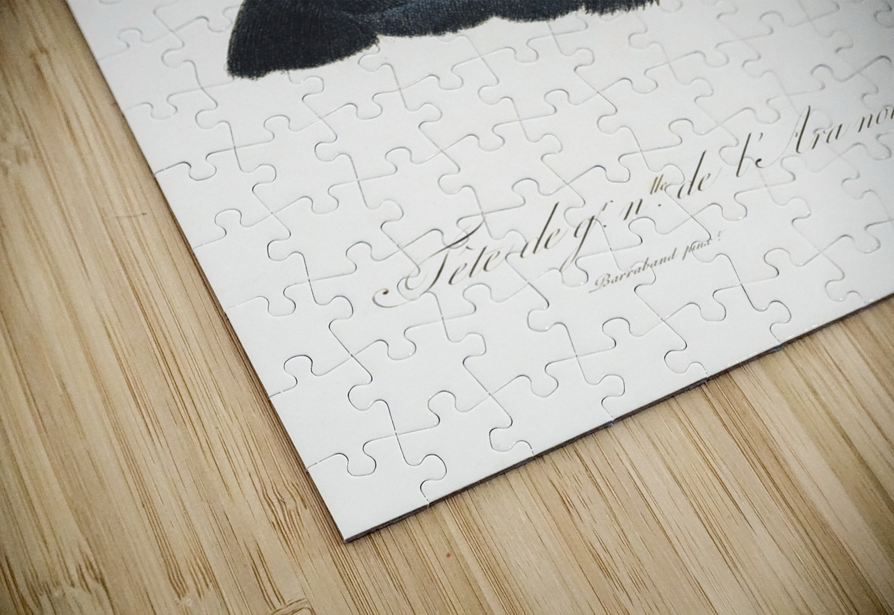 Goliath cockatoo  IStockHistory com Puzzle