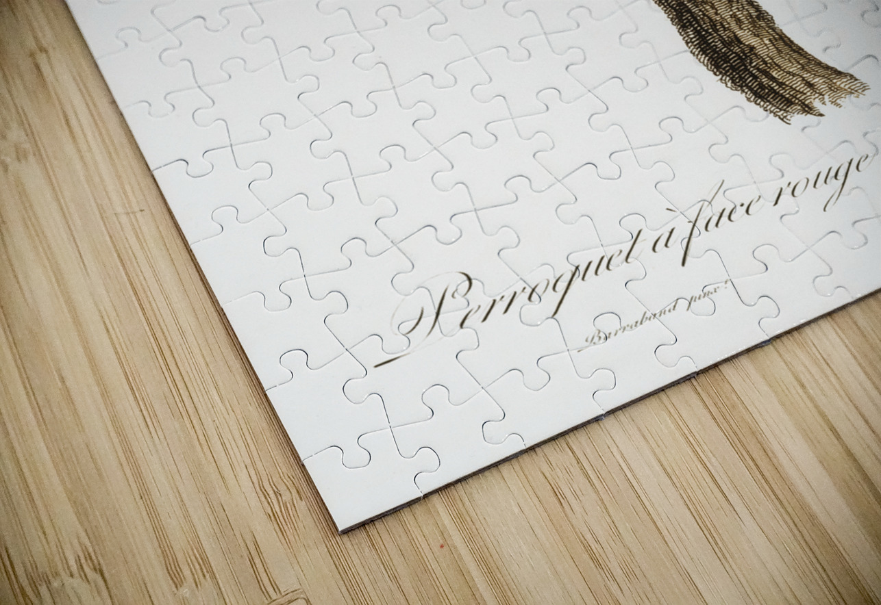 Cuban parrot  IStockHistory com Puzzle