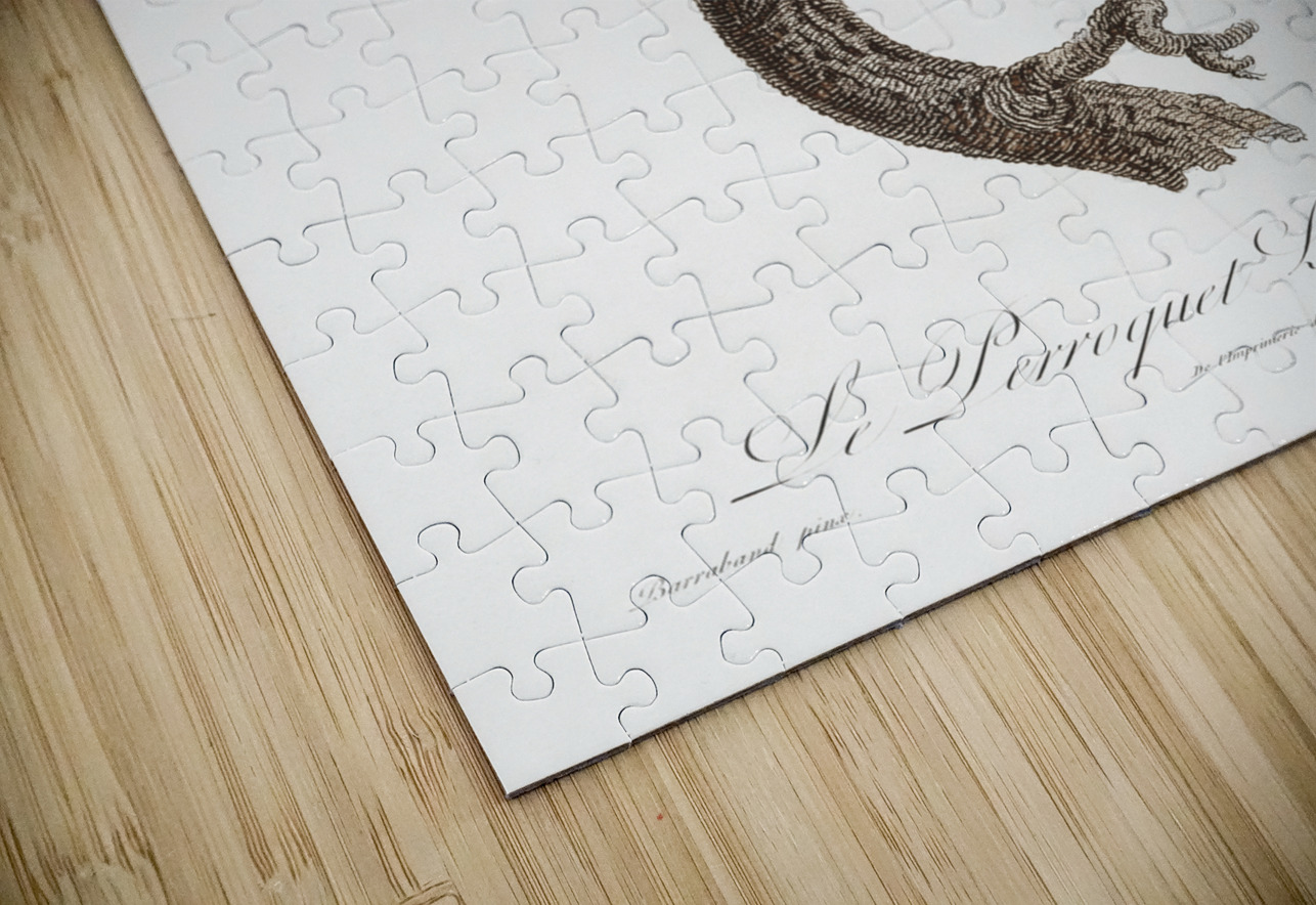 Jardines parrot  IStockHistory com Puzzle