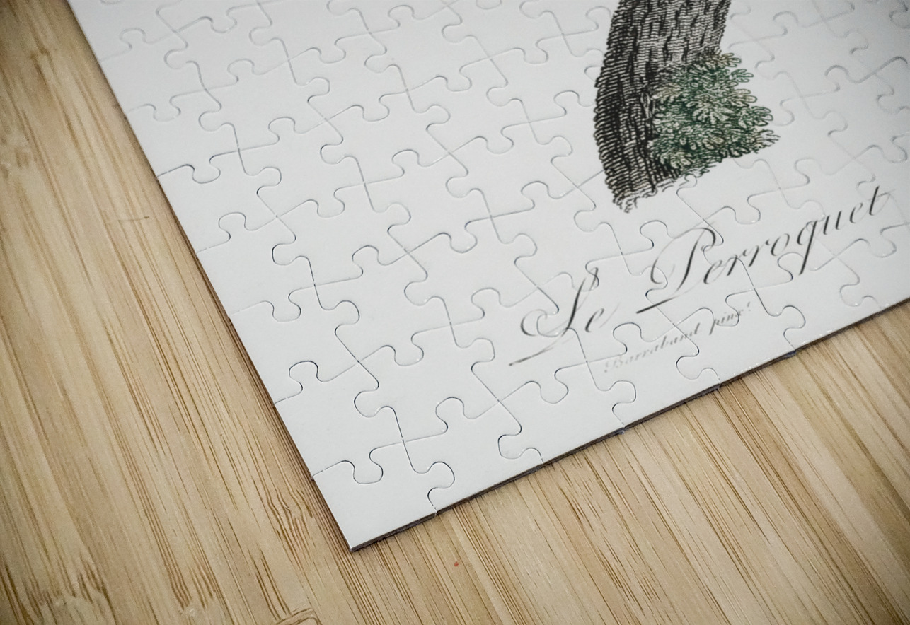 Red-billed pionus  IStockHistory com Puzzle