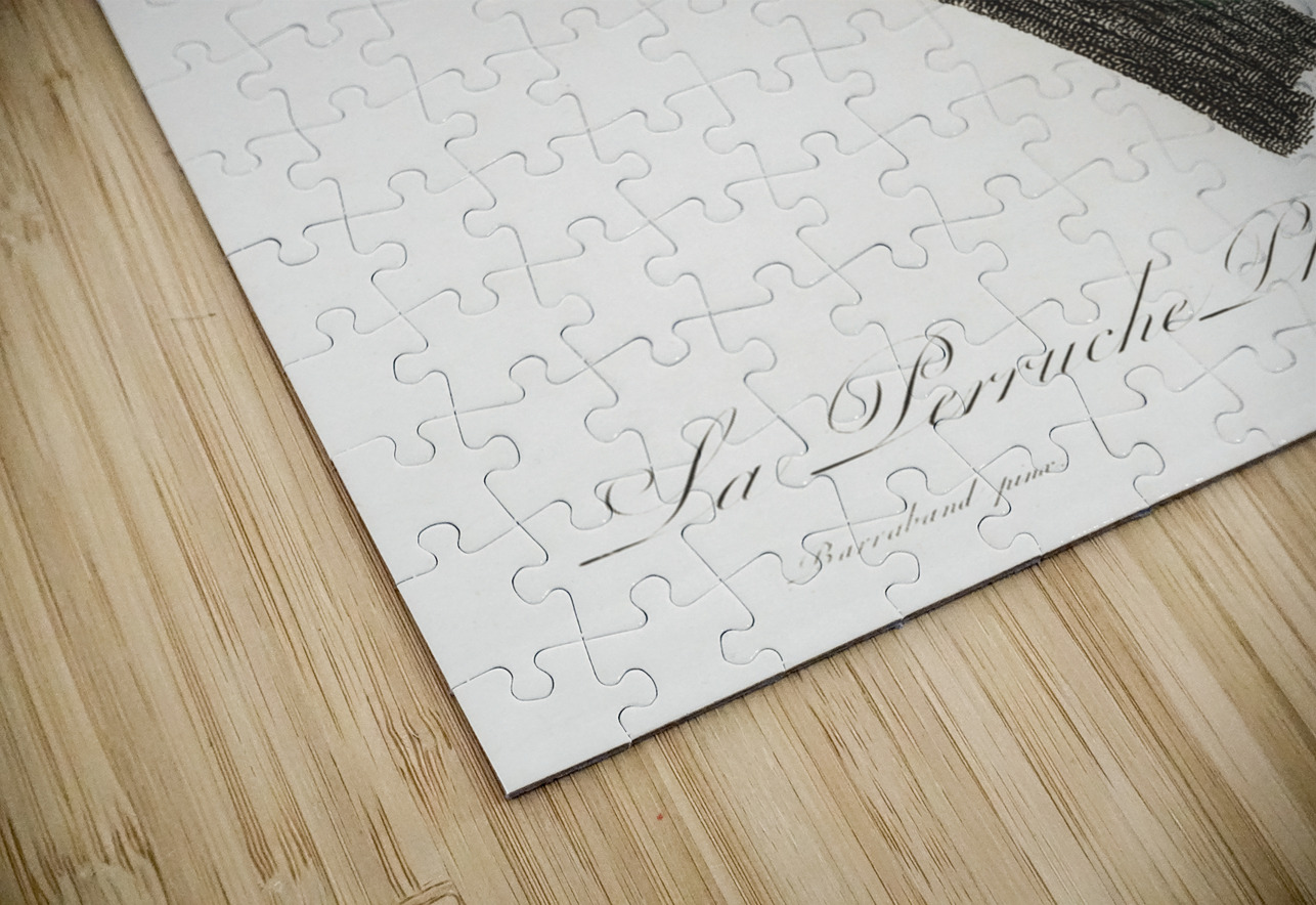 Pygmy parrot  IStockHistory com Puzzle