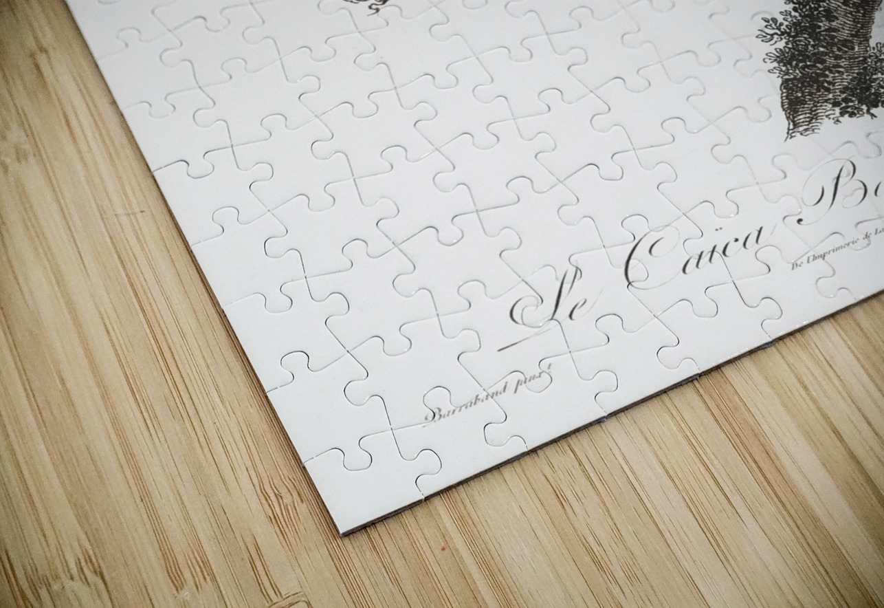 Orange-cheeked parrot  IStockHistory com Puzzle