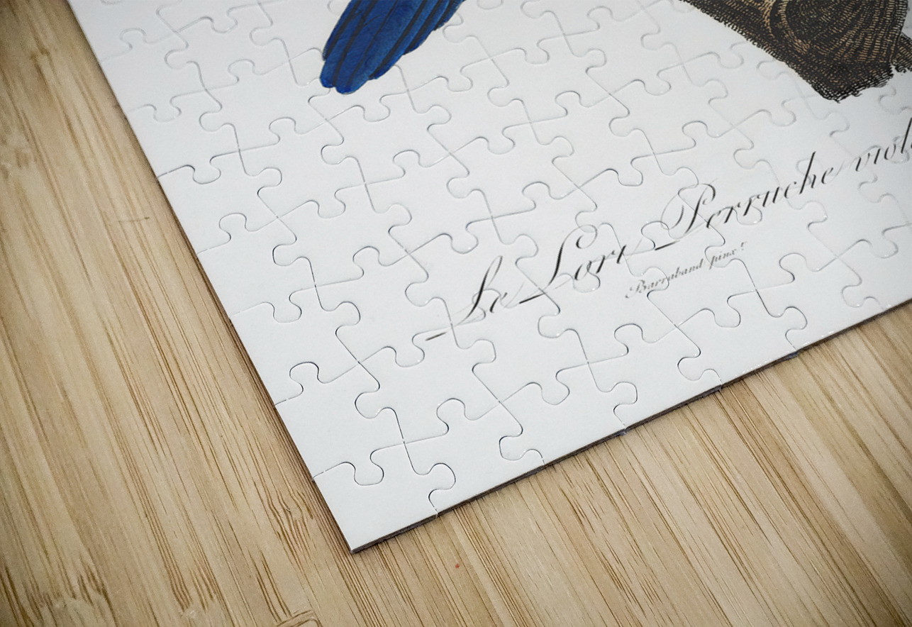 Red-and-blue lory  IStockHistory com Puzzle