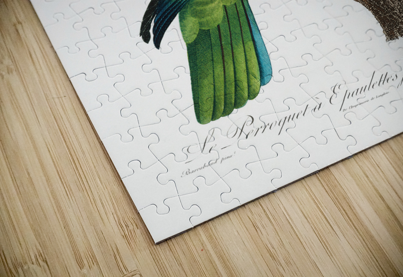 Yellow-shouldered amazon  IStockHistory com Puzzle