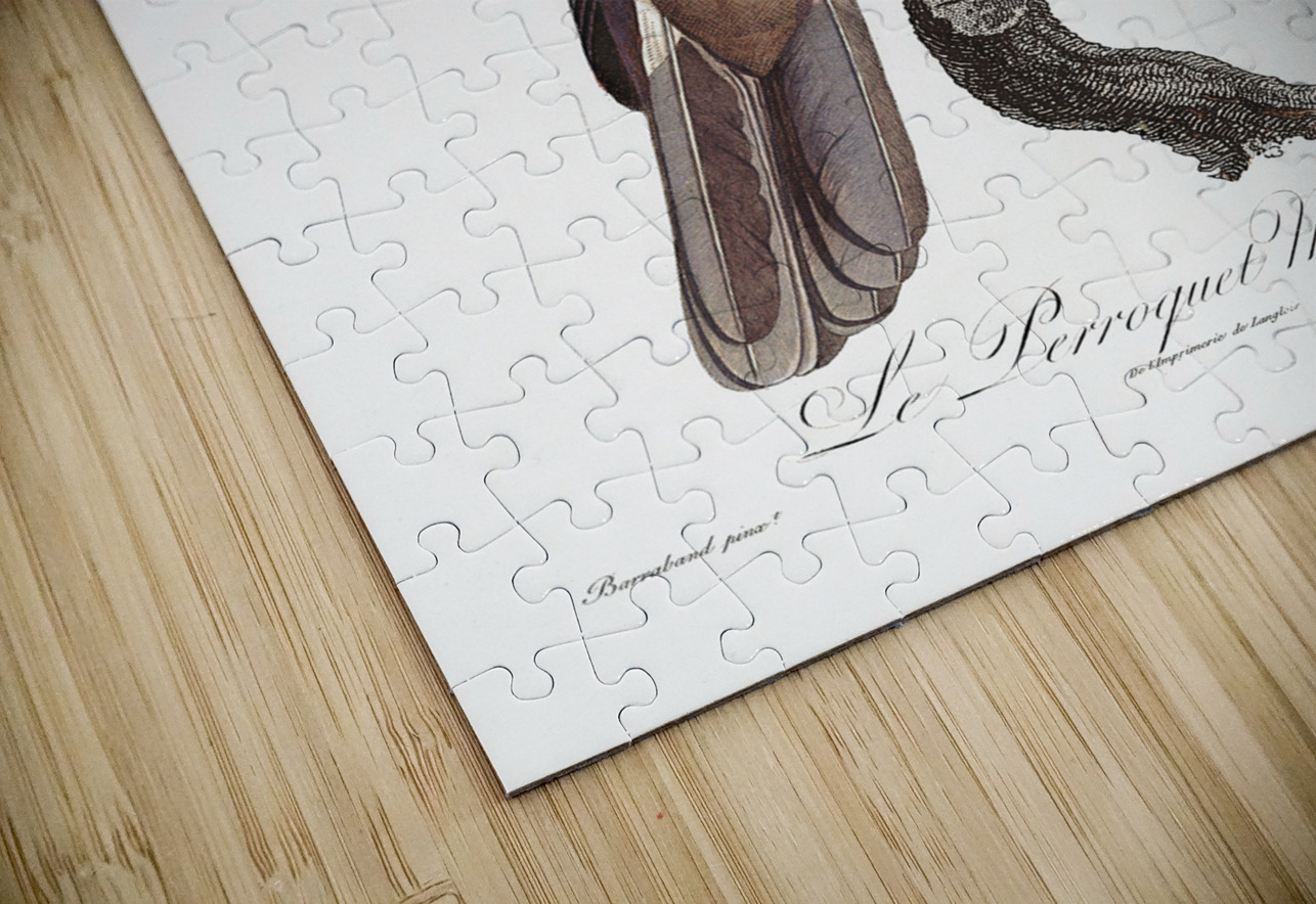 Mascarine parrot  IStockHistory com Puzzle