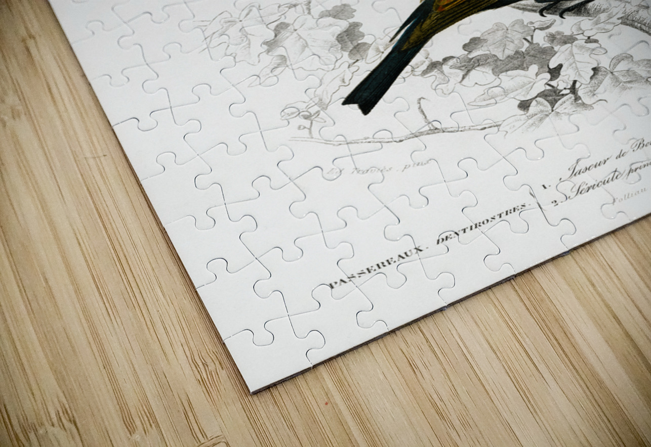 Different types of birds IStockHistory com Puzzle