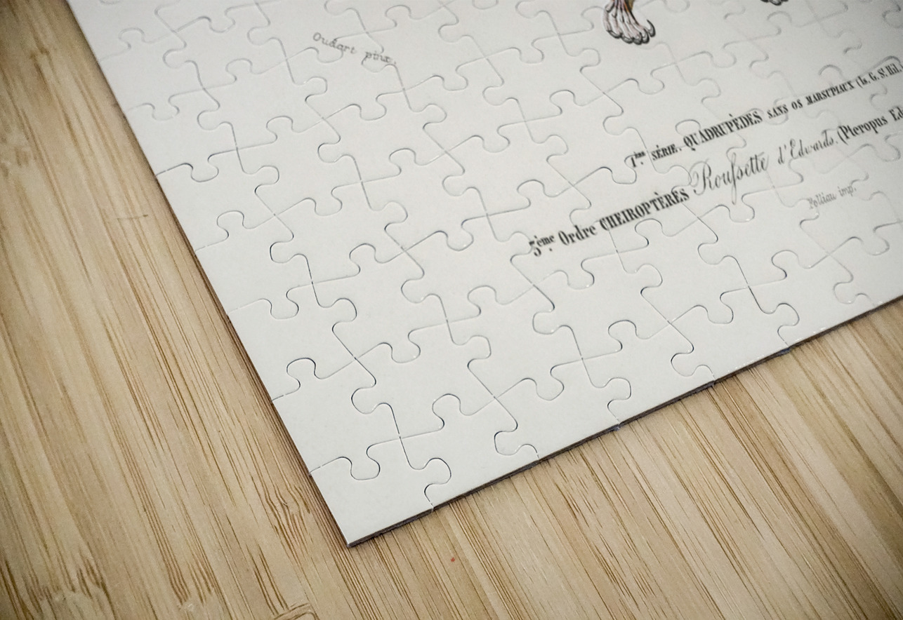 Bat Roufsette IStockHistory com Puzzle