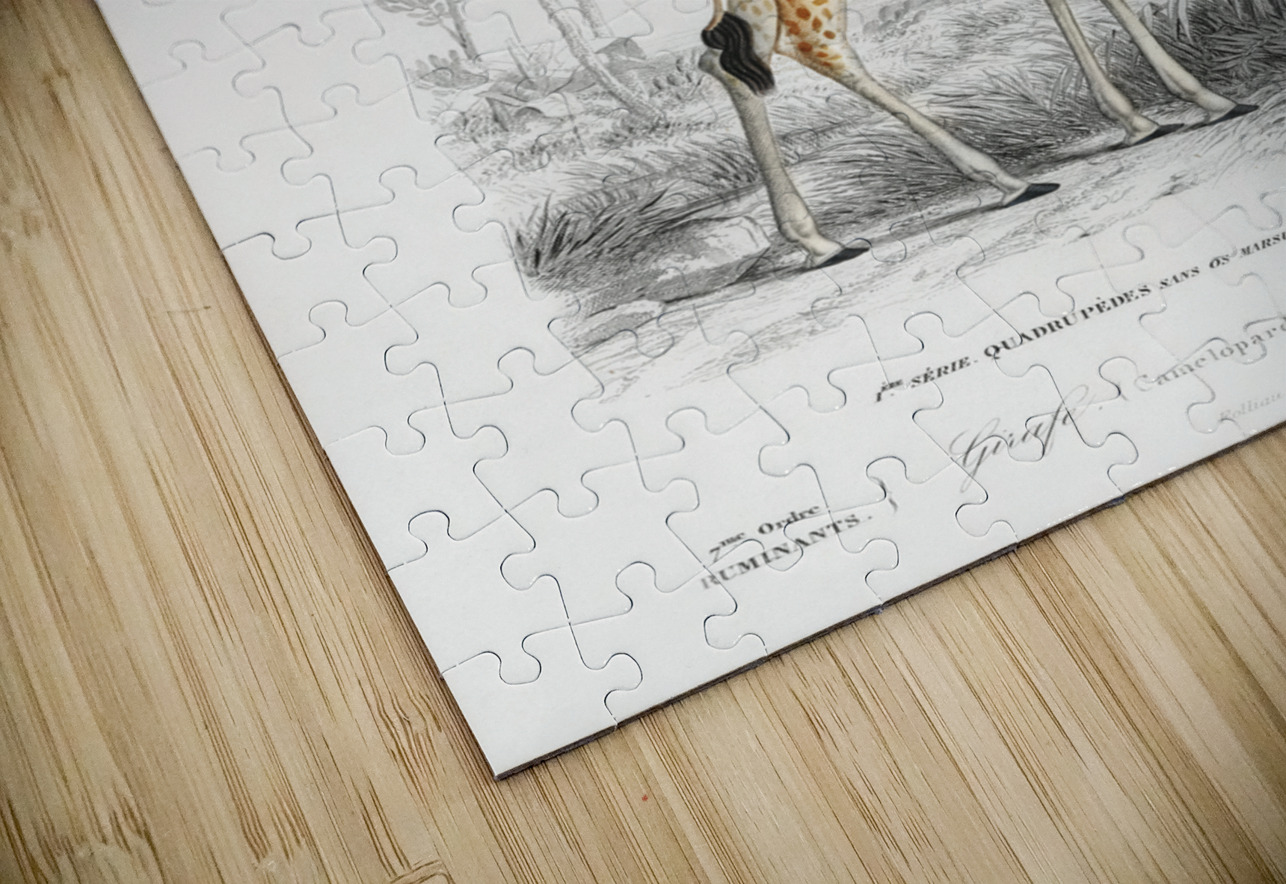 Vintage giraffe poster IStockHistory com Puzzle
