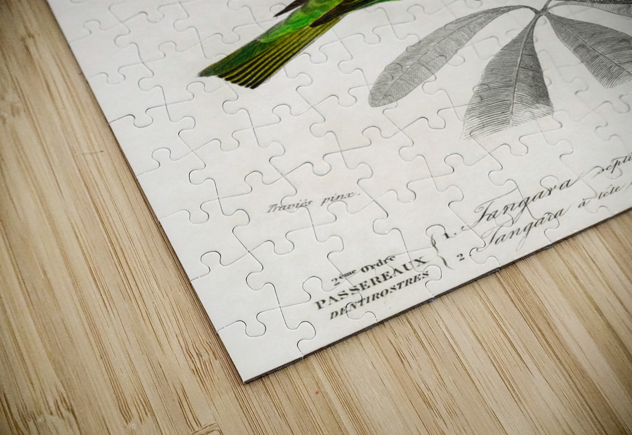 Different types of birds IStockHistory com Puzzle