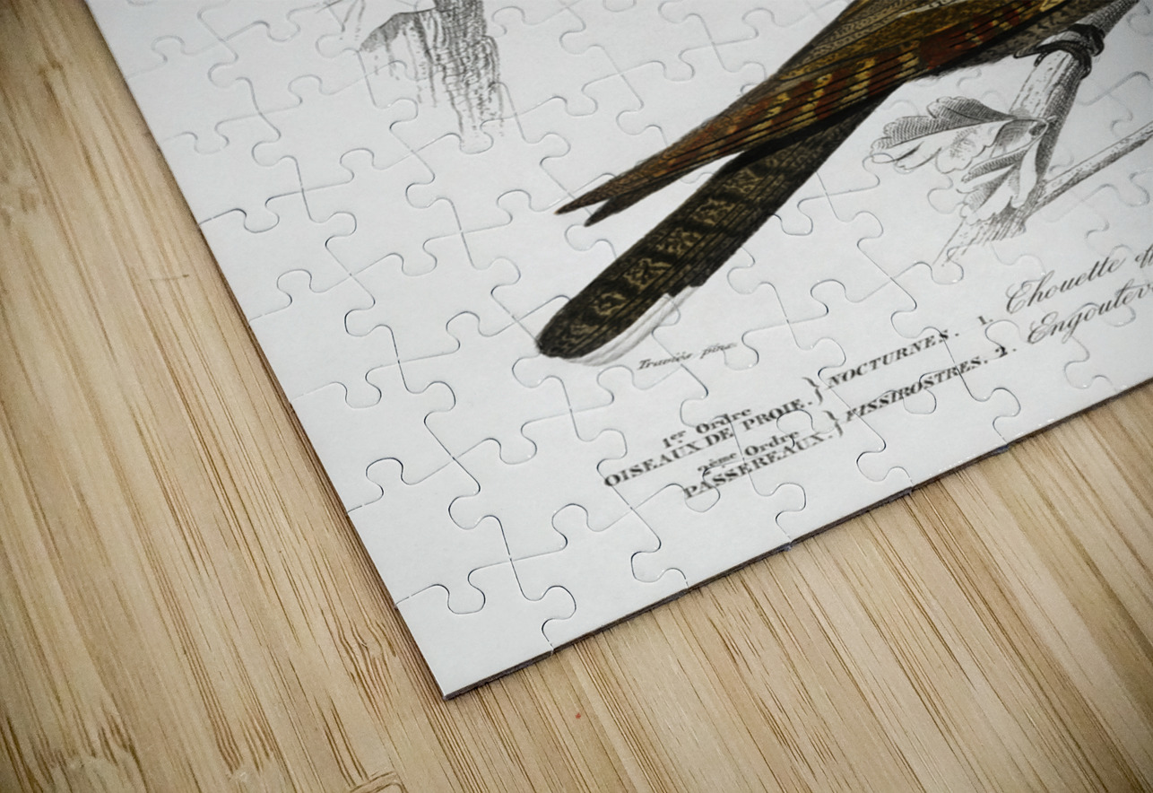 Different types of birds IStockHistory com Puzzle