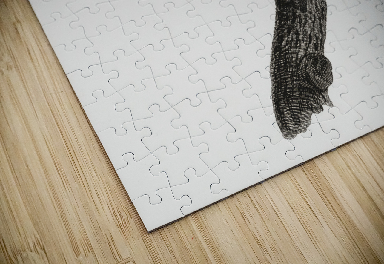 Blue-green jay IStockHistory com Puzzle