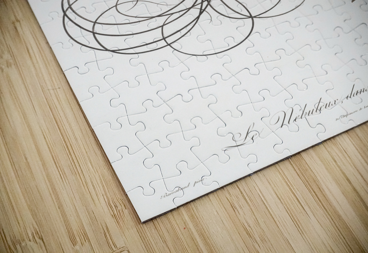 Twelve wired bird of paradise  IStockHistory com Puzzle