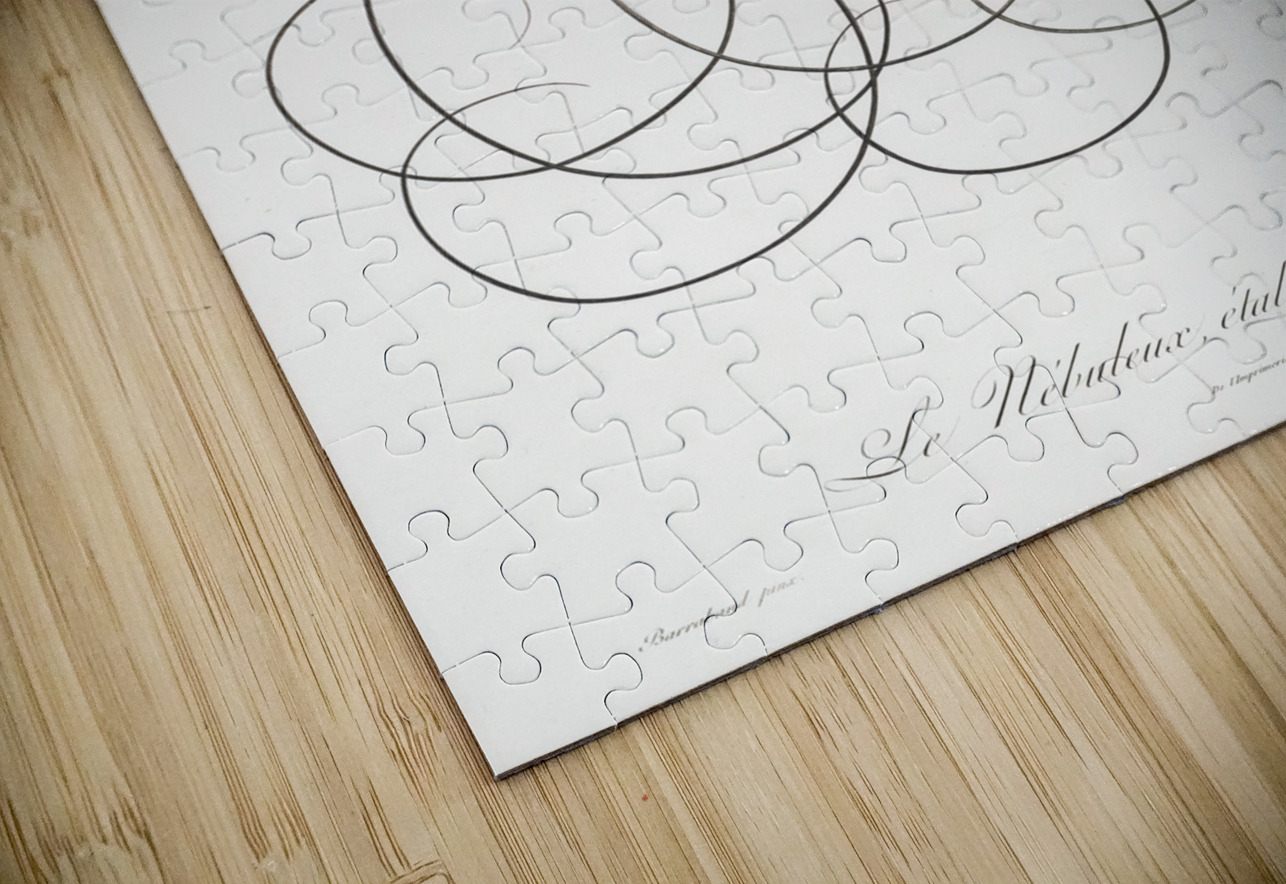 Twelve wired bird of paradise  IStockHistory com Puzzle