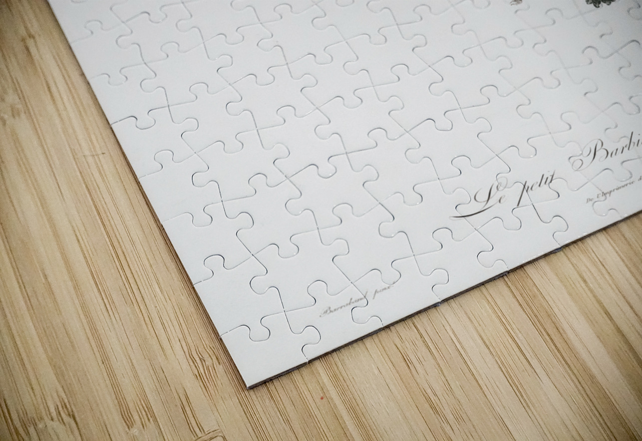 Little barbet  IStockHistory com Puzzle