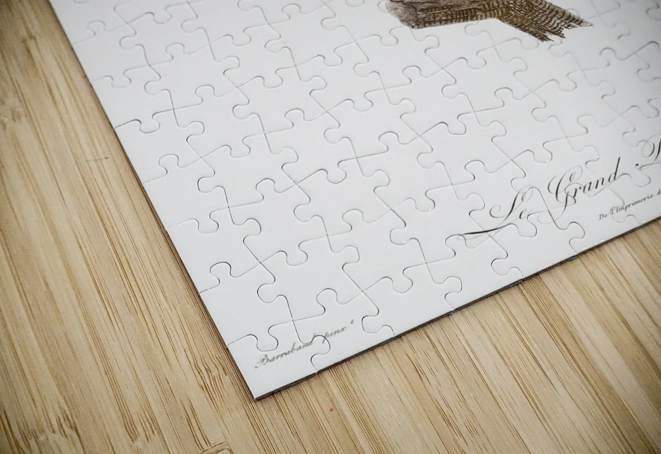 Great barbet  IStockHistory com Puzzle