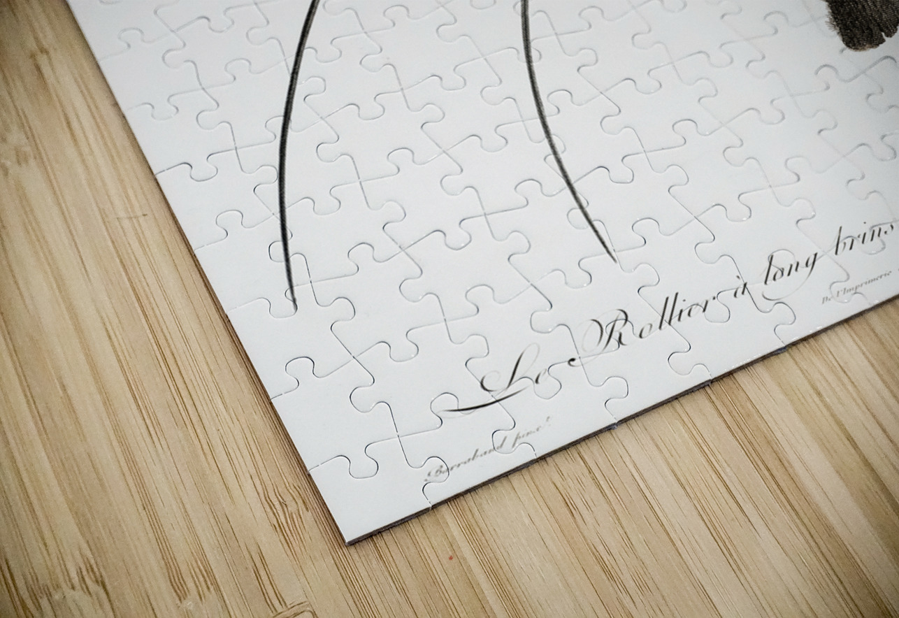 Magnificent bird of paradise female  IStockHistory com Puzzle