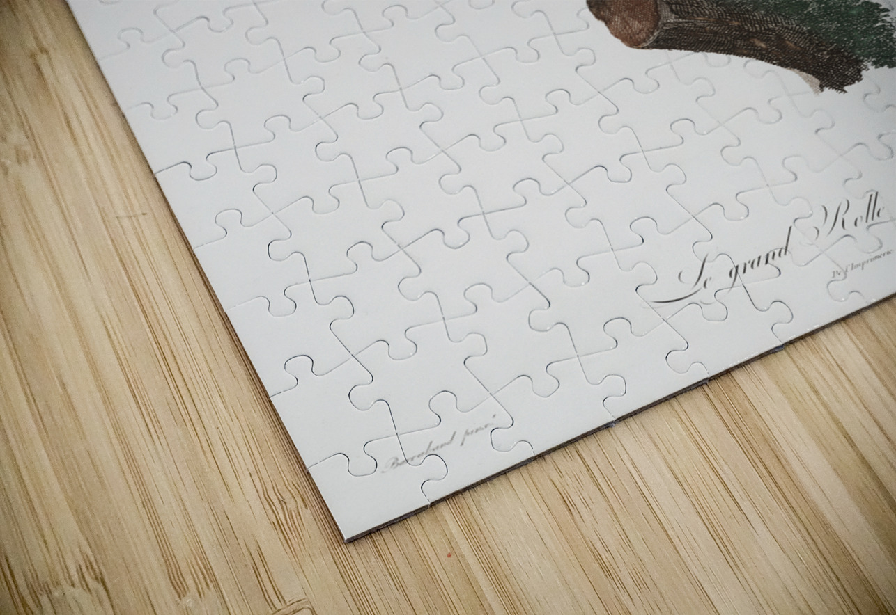 Great violet roller  IStockHistory com Puzzle