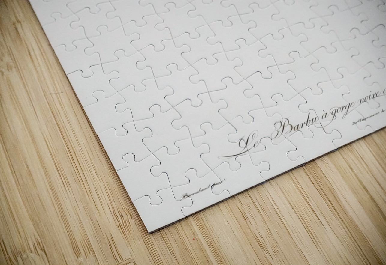 Old braeded tachuri  IStockHistory com Puzzle