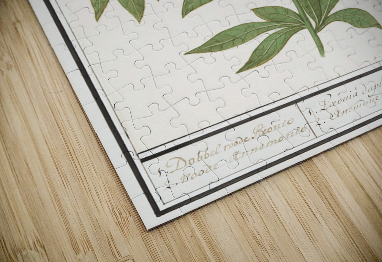 Peony and anemone in vintage style IStockHistory com Puzzle