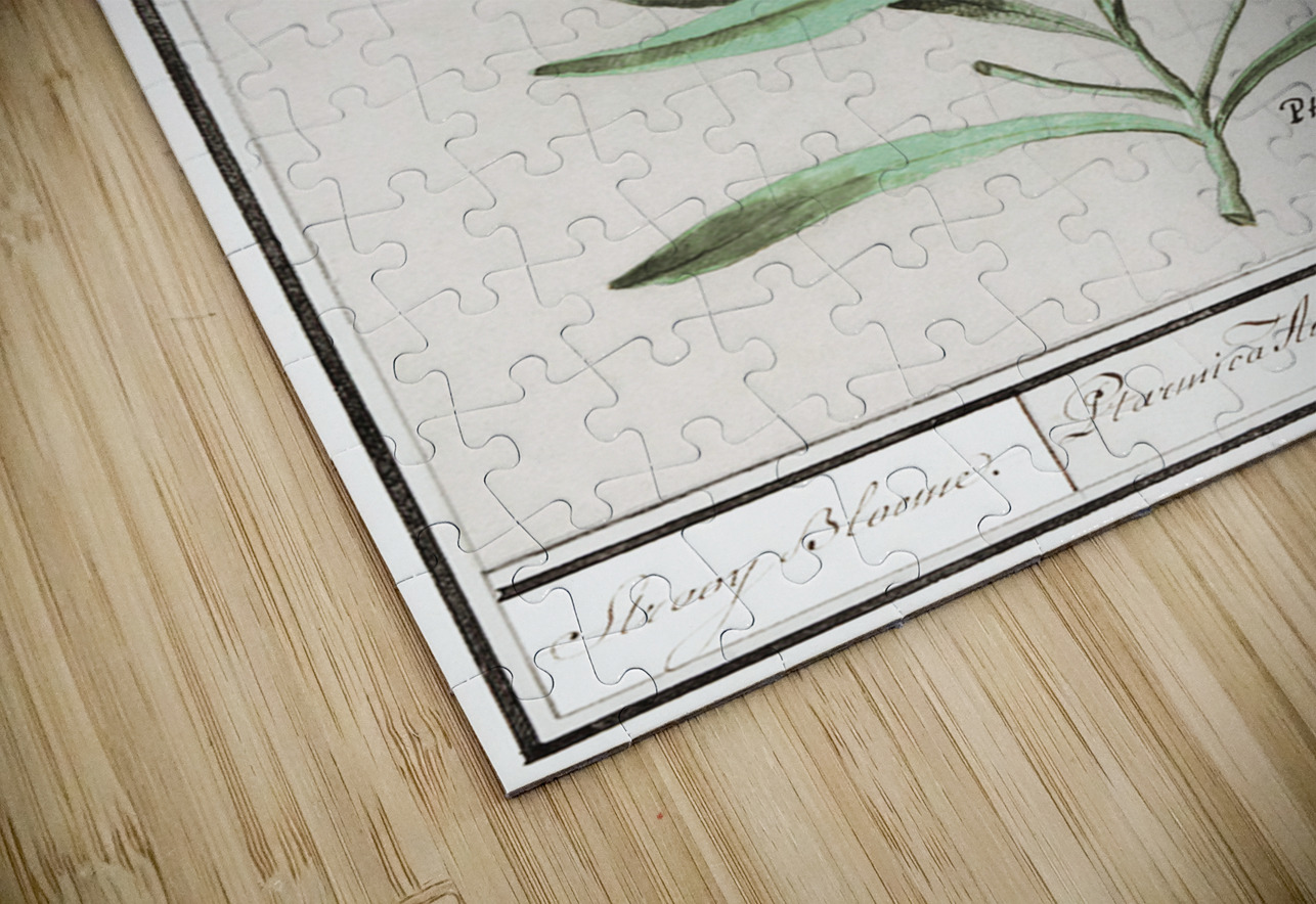 Blue strawflower in vintage style IStockHistory com Puzzle