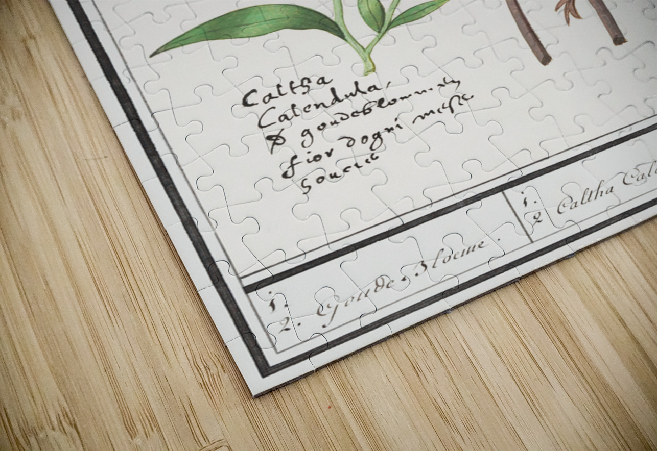 Pink flower and marigold in vintage style IStockHistory com Puzzle