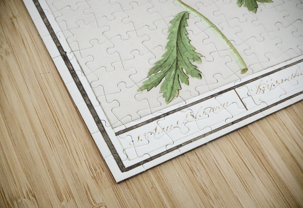 Chrysanths in vintage style IStockHistory com Puzzle