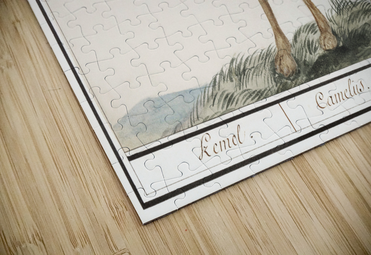 Camel in vintage style IStockHistory com Puzzle