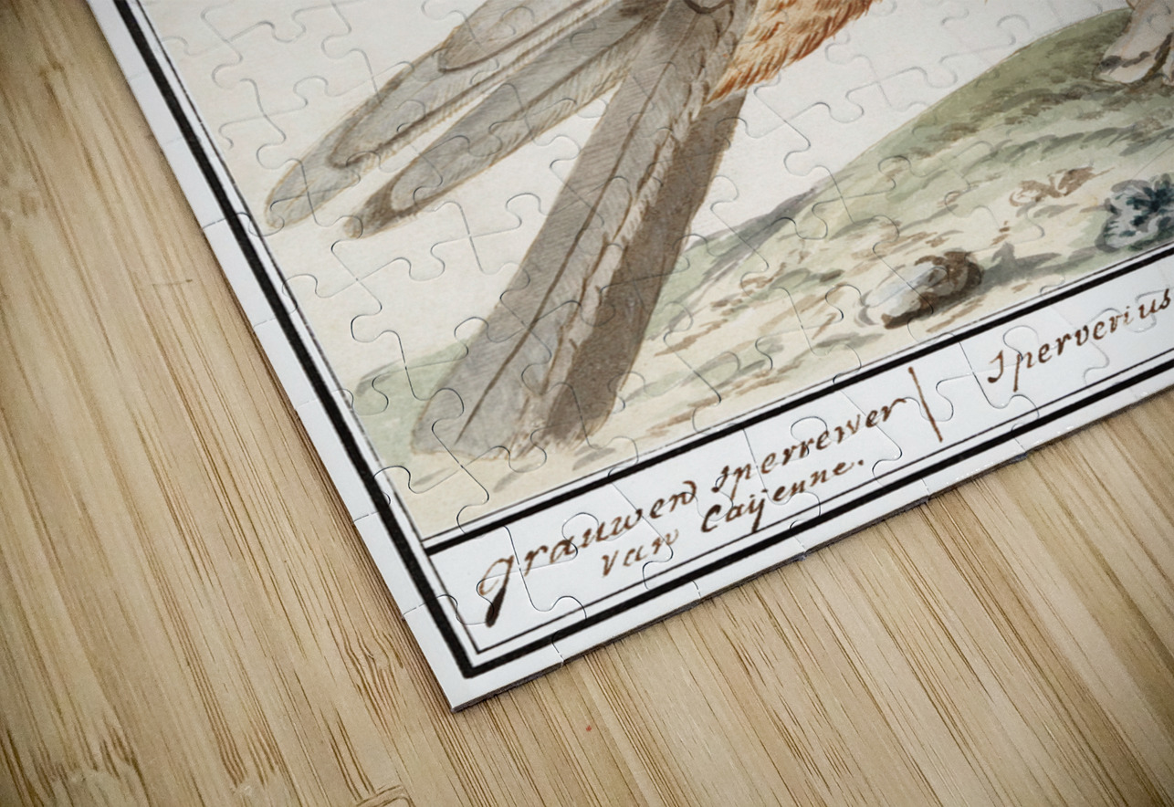 Red-footed falcon vintage style IStockHistory com Puzzle