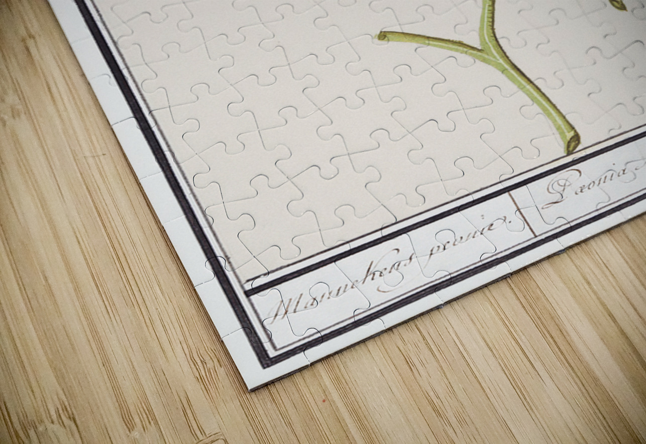 Peony in vintage style IStockHistory com Puzzle