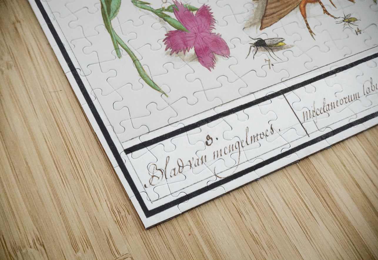 Nature ensemble in vintage style IStockHistory com Puzzle