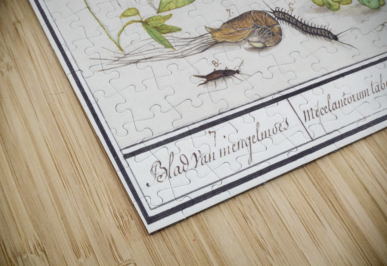 Nature ensemble in vintage style IStockHistory com Puzzle