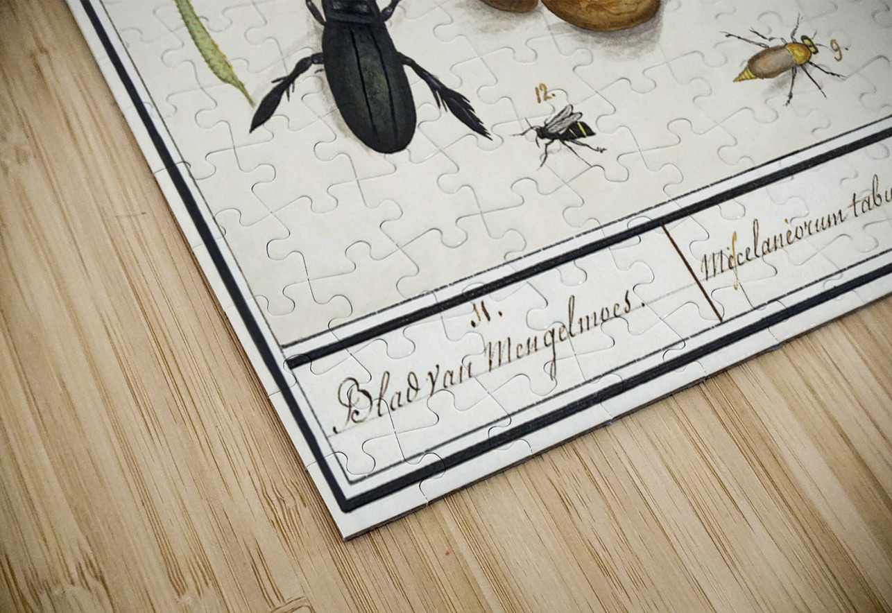 Wallcreeper in vintage style IStockHistory com Puzzle