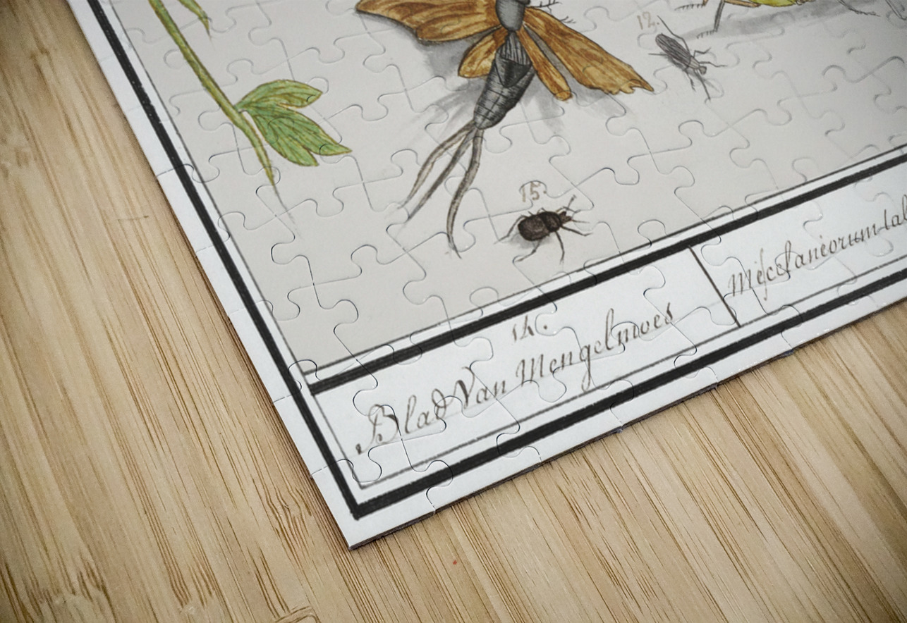 Nature ensemble in vintage style IStockHistory com Puzzle