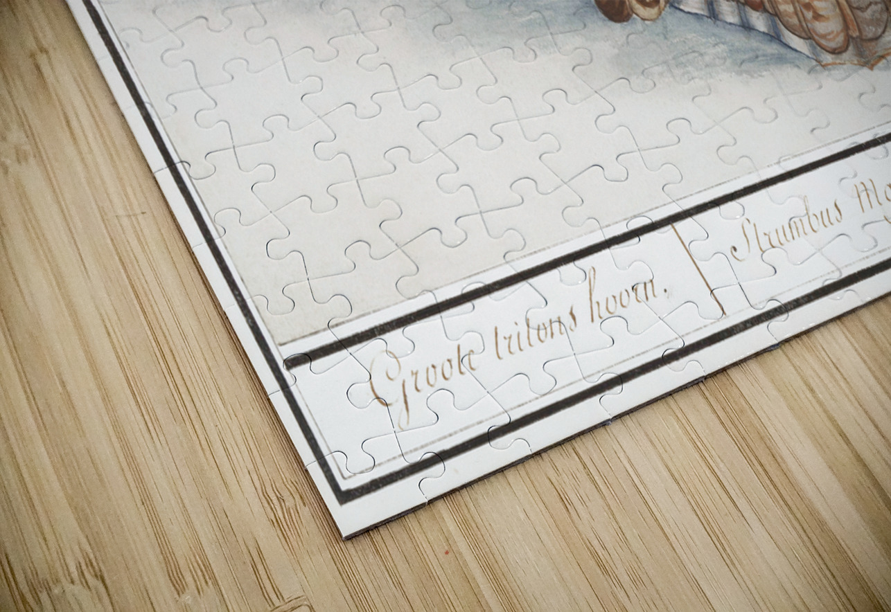 Tritons trumpet in vintage style IStockHistory com Puzzle